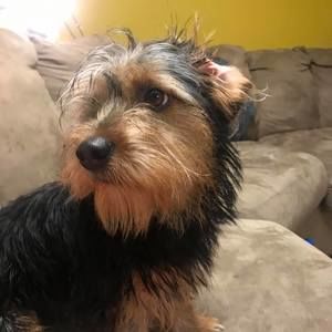 Meet your Posher, Christina